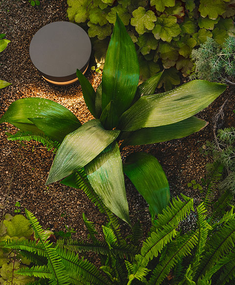 Vibia | Design beyond Light