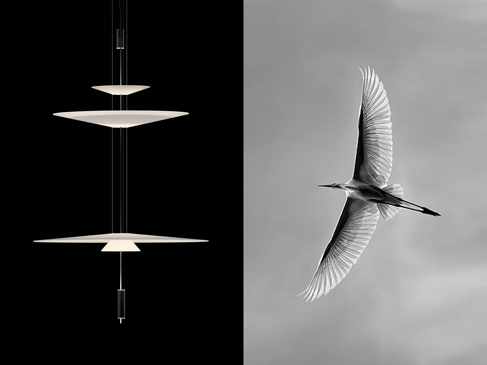 Vibia - Design Concept Delicately - Flying shapes
