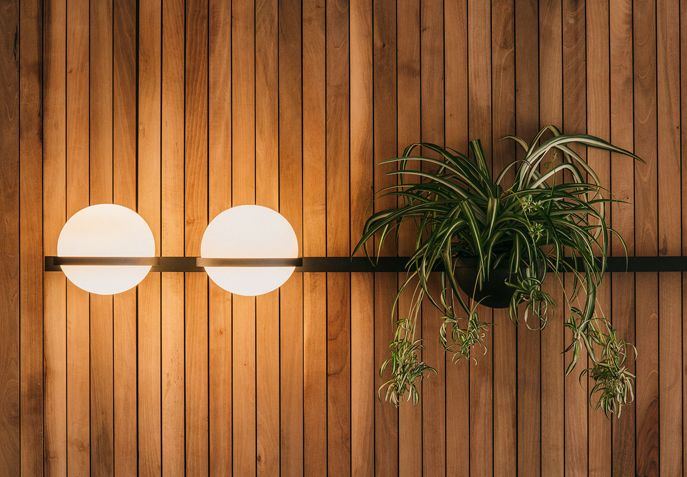 Vibia The Edit - The Palma Wall - Bringing the Outdoors In